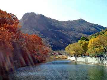 新澳门期期准精准，佛山到山东物流